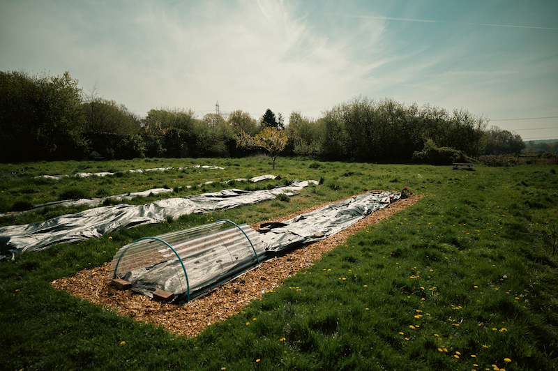 Garden Beds