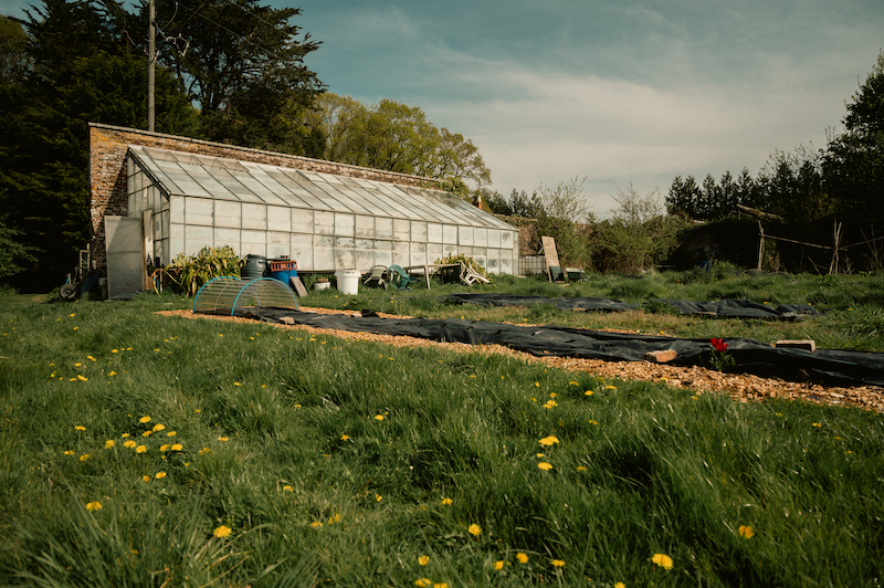 garden Greenhouse 2