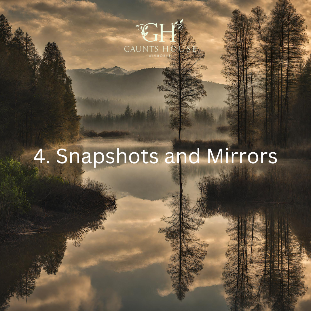 Snapshots & Mirrors 