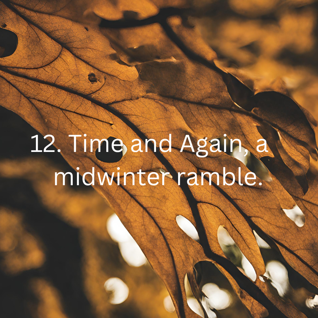 Time and Again, a midwinter ramble.