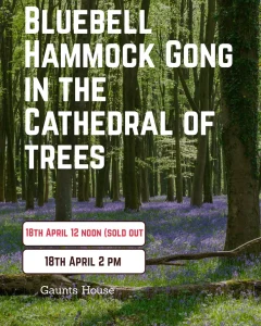 Bluebell Gong Bath Dorset at Gaunts House Cathedral of Trees. Bluebell Hammock Gong in the cathedral of trees event poster for 18th April 2pm
