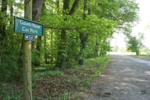 car park by trees